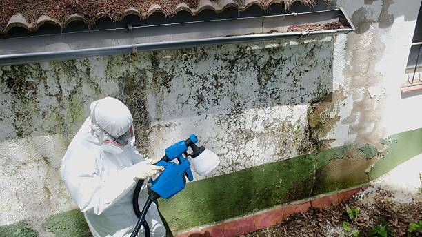 Top rated local Crawl Space Mold Removal specialists in Hooversville, PA